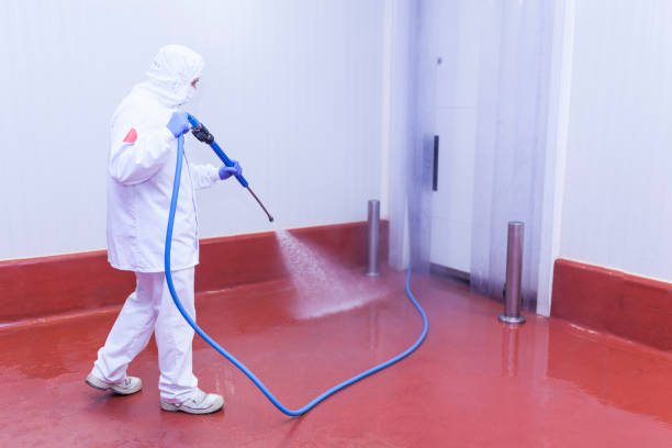Best Roof Washing  in Fords, NJ